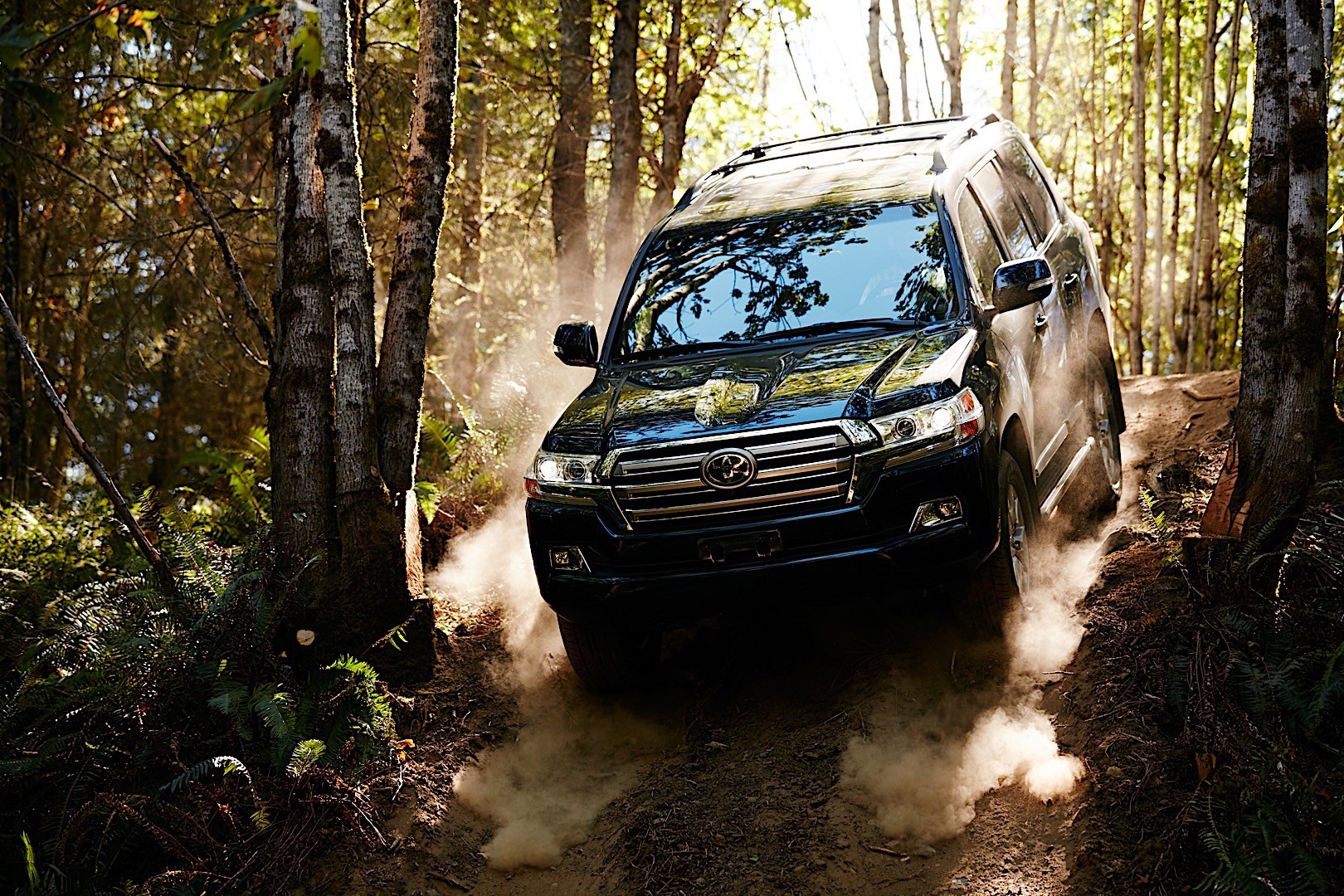 Toyota Land Cruiser V8 And Predecessors photo 42