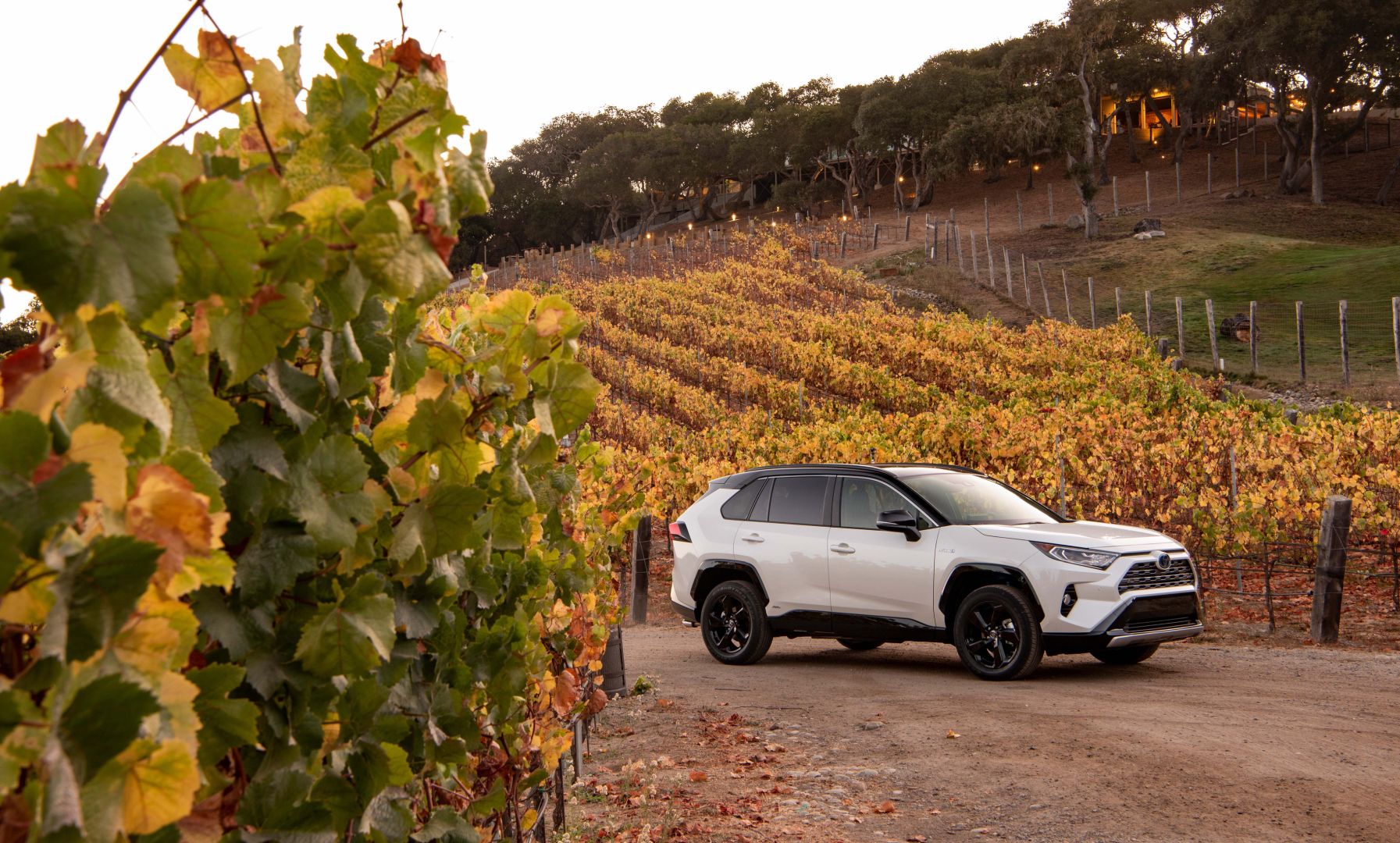 Toyota Rav4 5 Doors photo 77