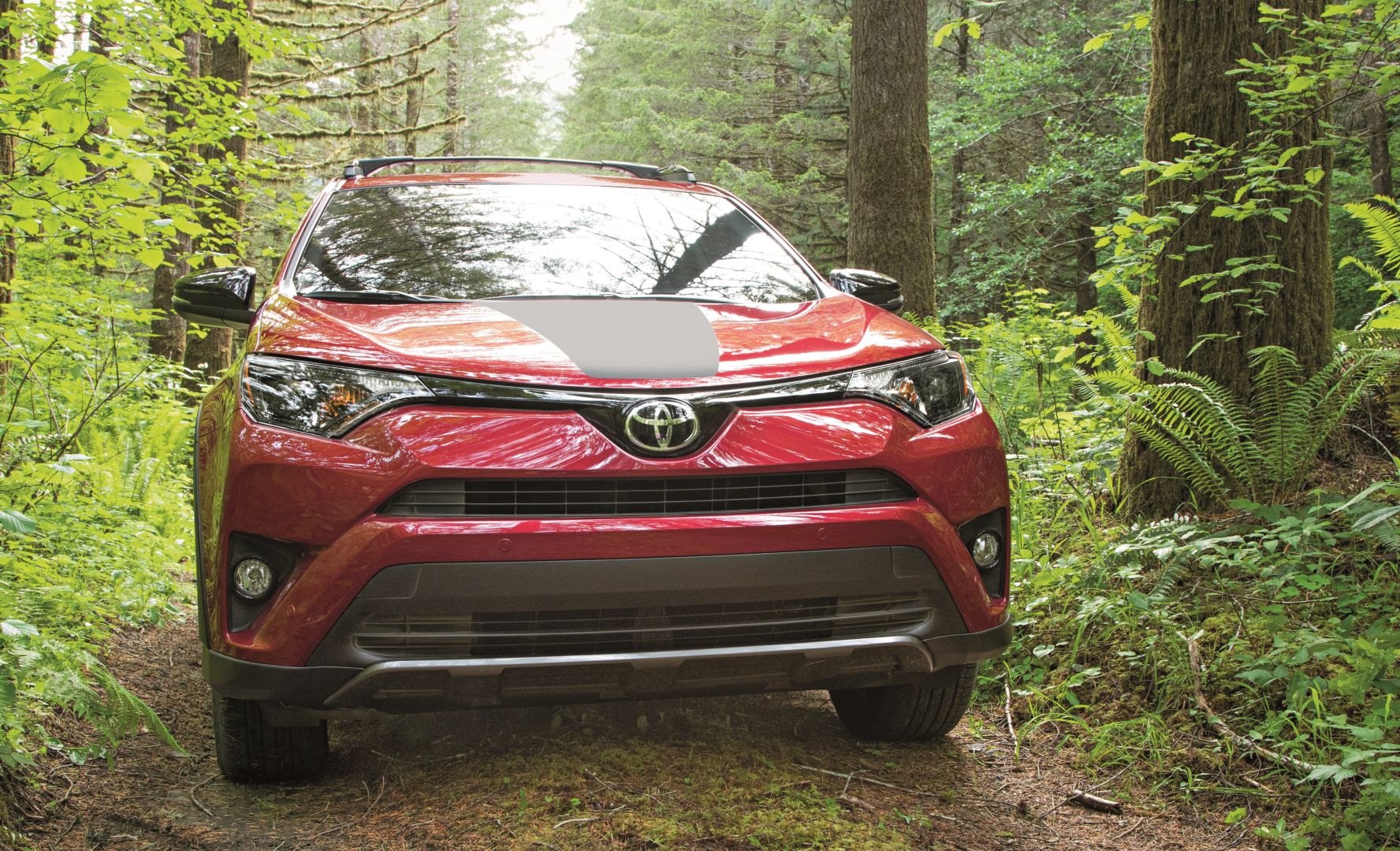 Toyota Rav4 5 Doors photo 112