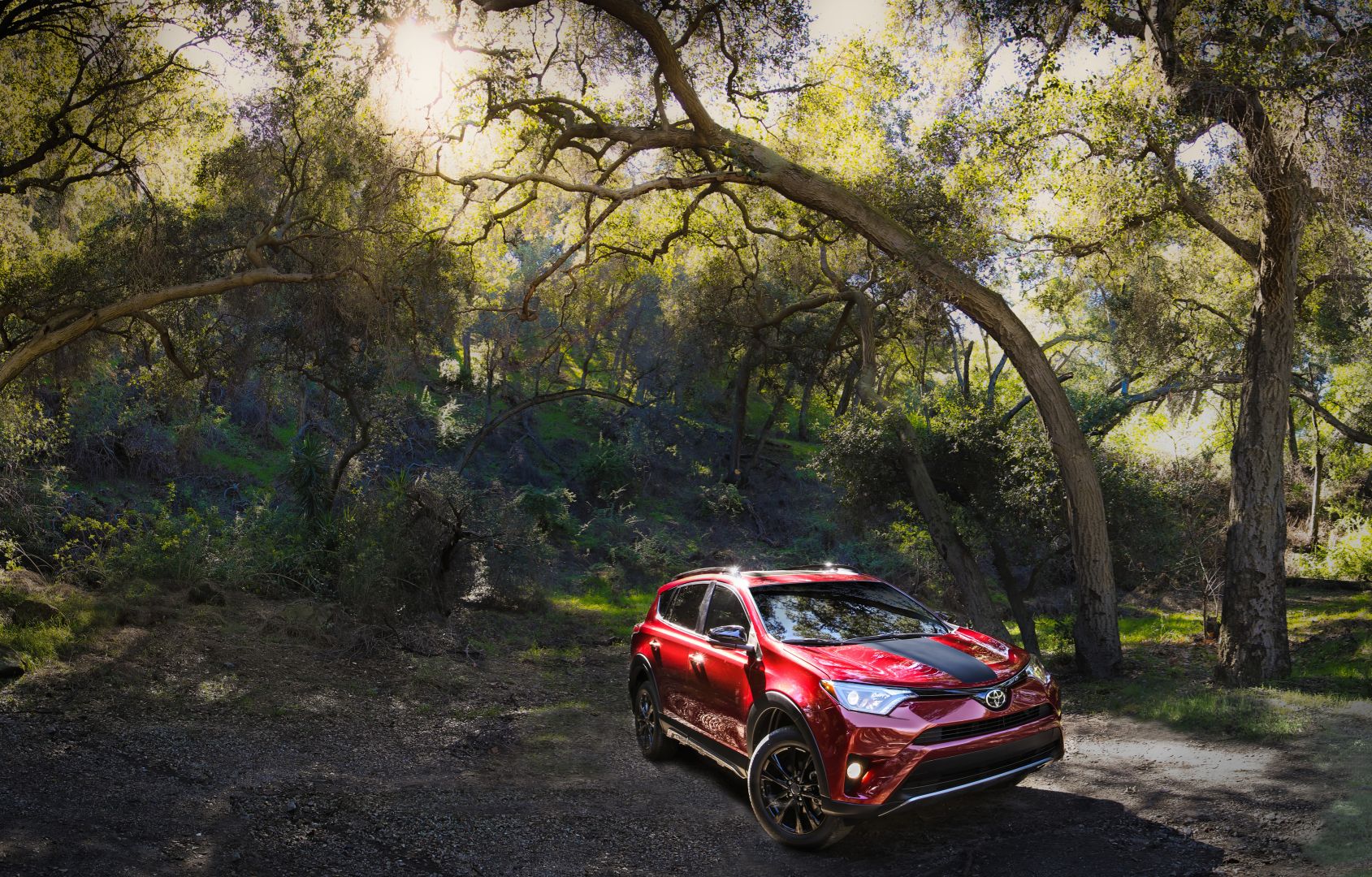 Toyota Rav4 5 Doors photo 119