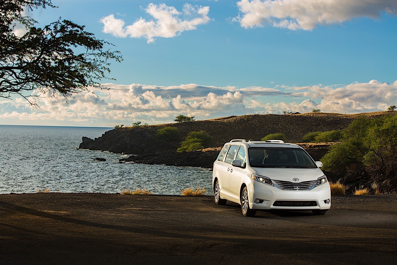 Toyota Sienna photo 2