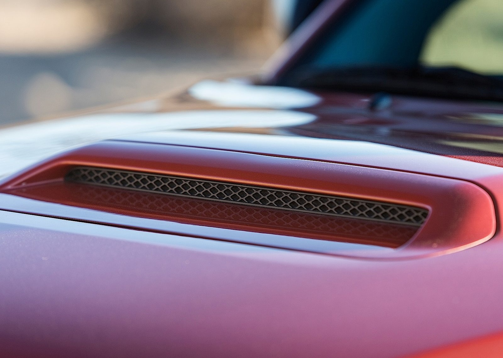 Toyota Tacoma photo 18