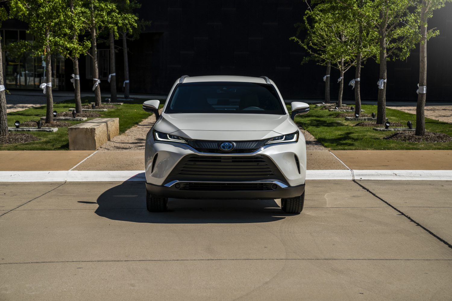 Toyota Venza photo 39