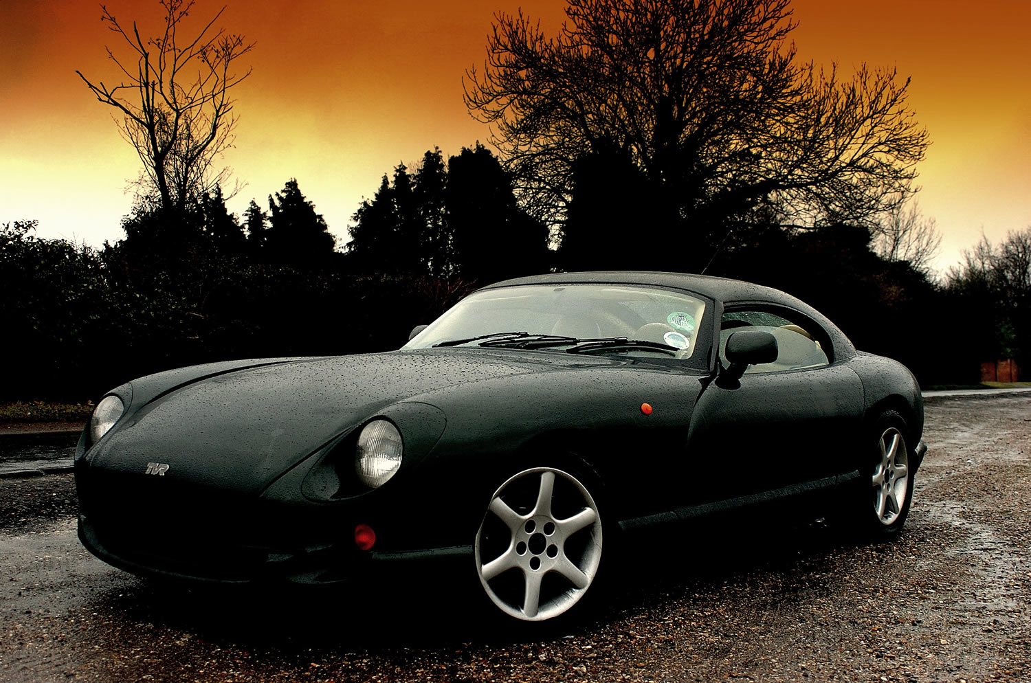 Tvr Cerbera photo 12