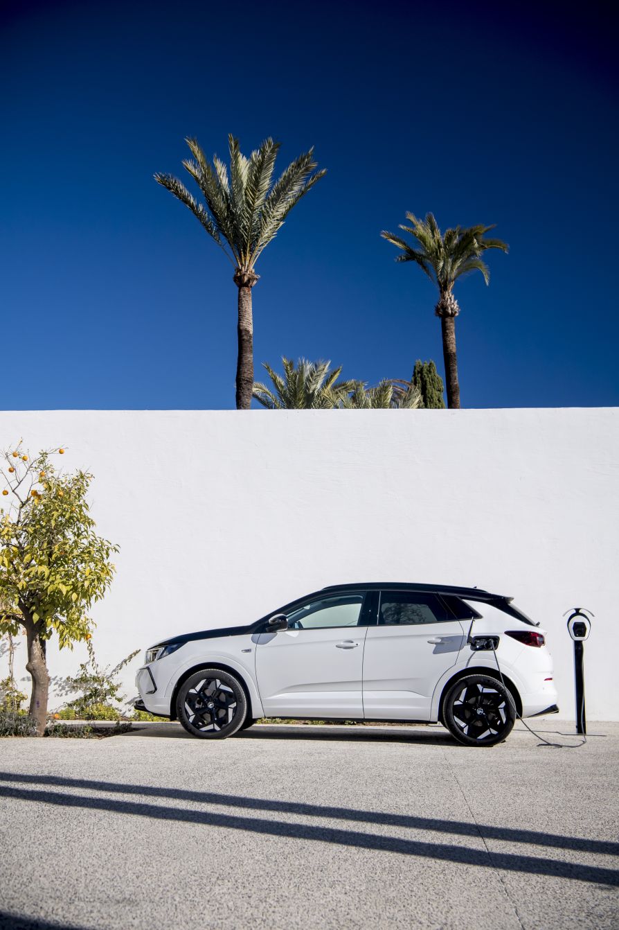 Vauxhall Grandland photo 31