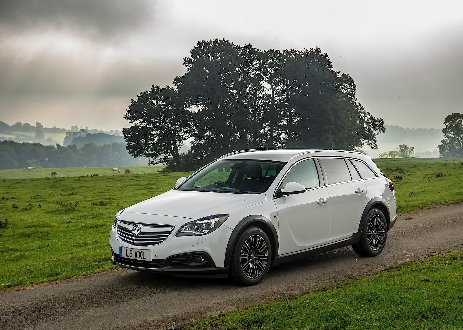 Vauxhall Insignia Country Tourer photo 7