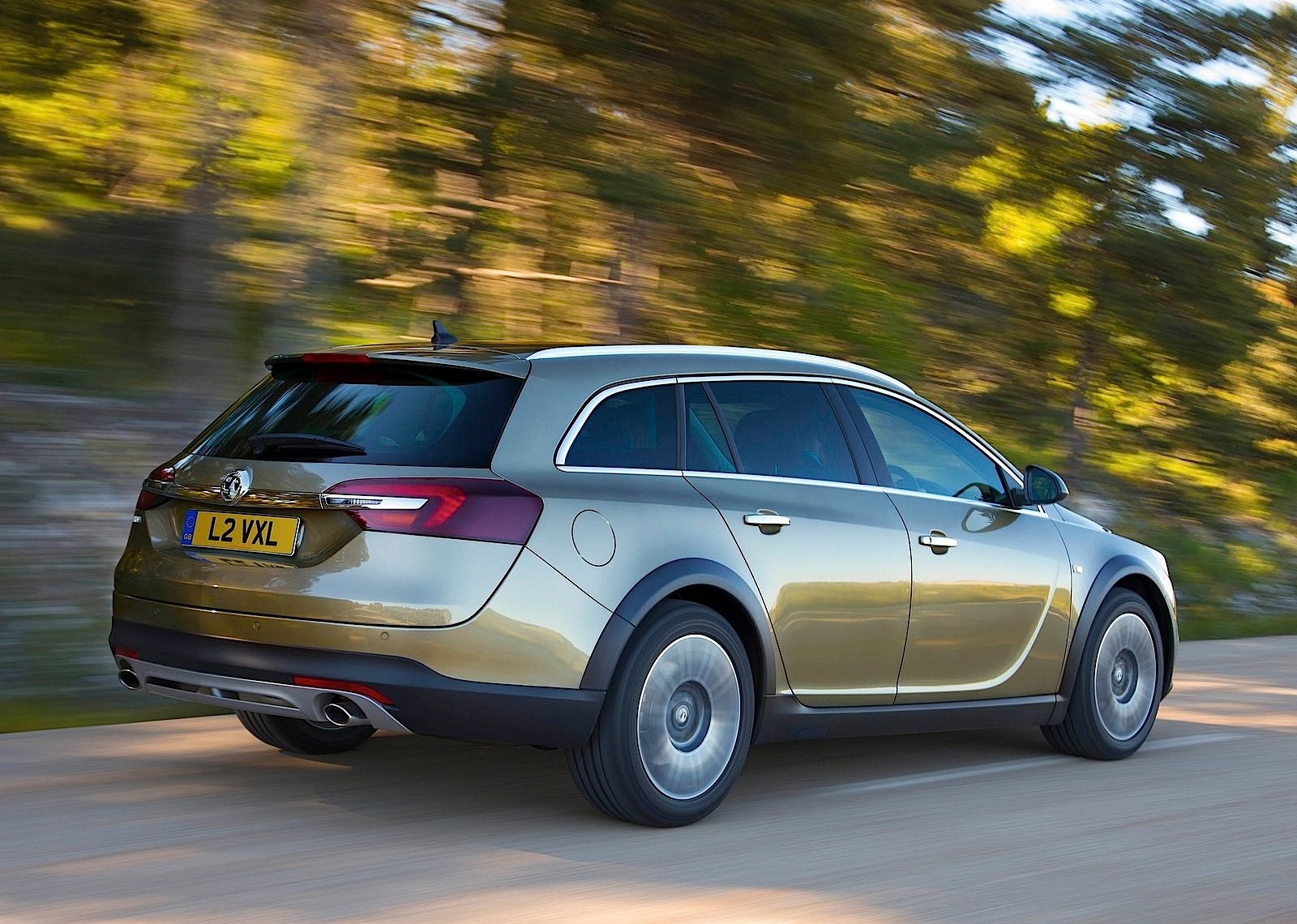 Vauxhall Insignia Country Tourer photo 13