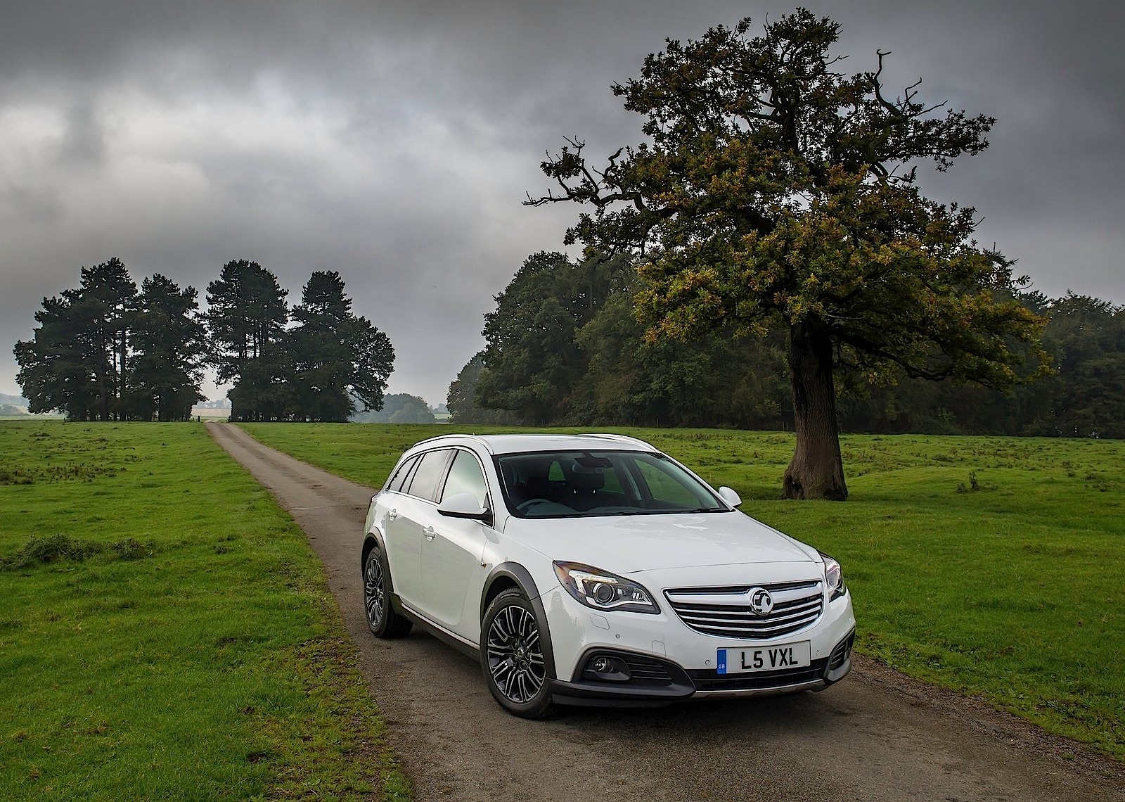 Vauxhall Insignia Country Tourer photo 25