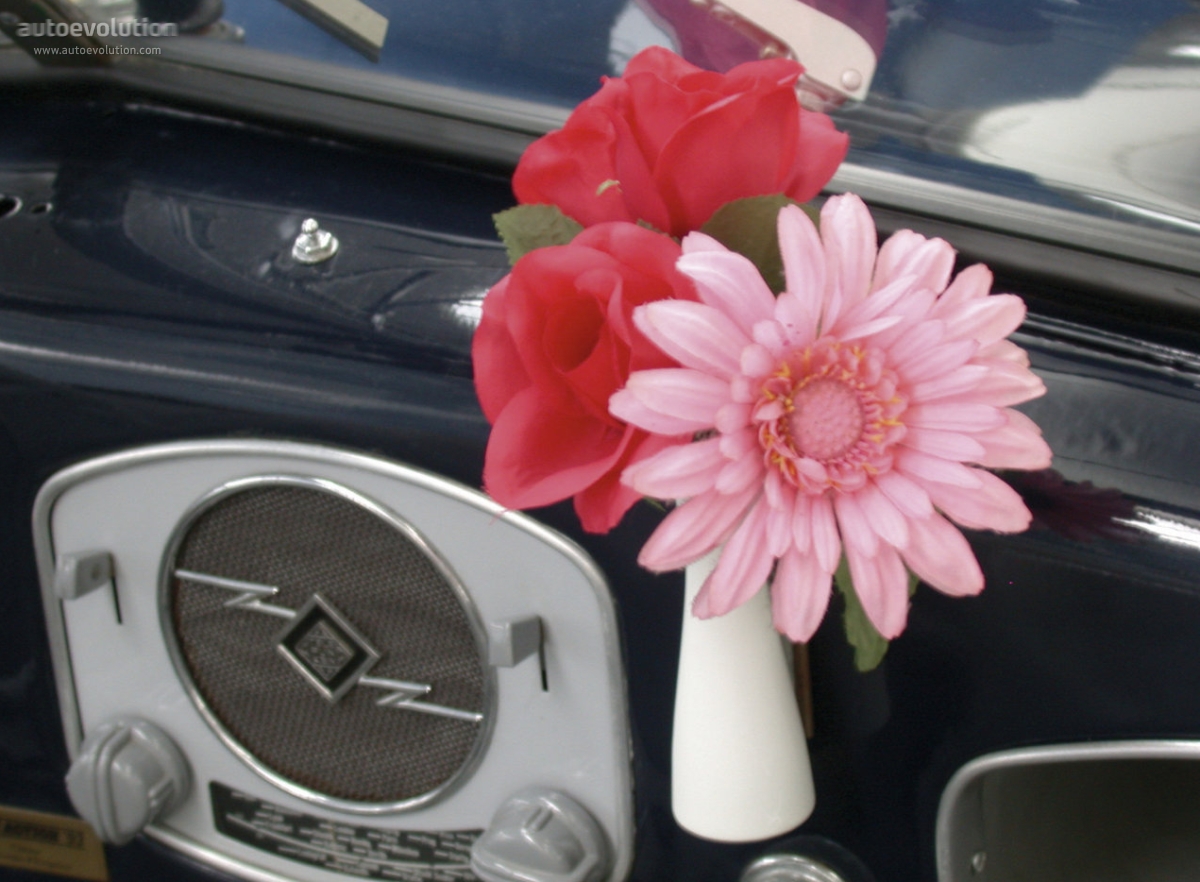 Volkswagen Beetle photo 9