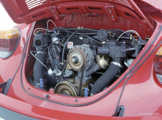 Volkswagen Beetle photo 5