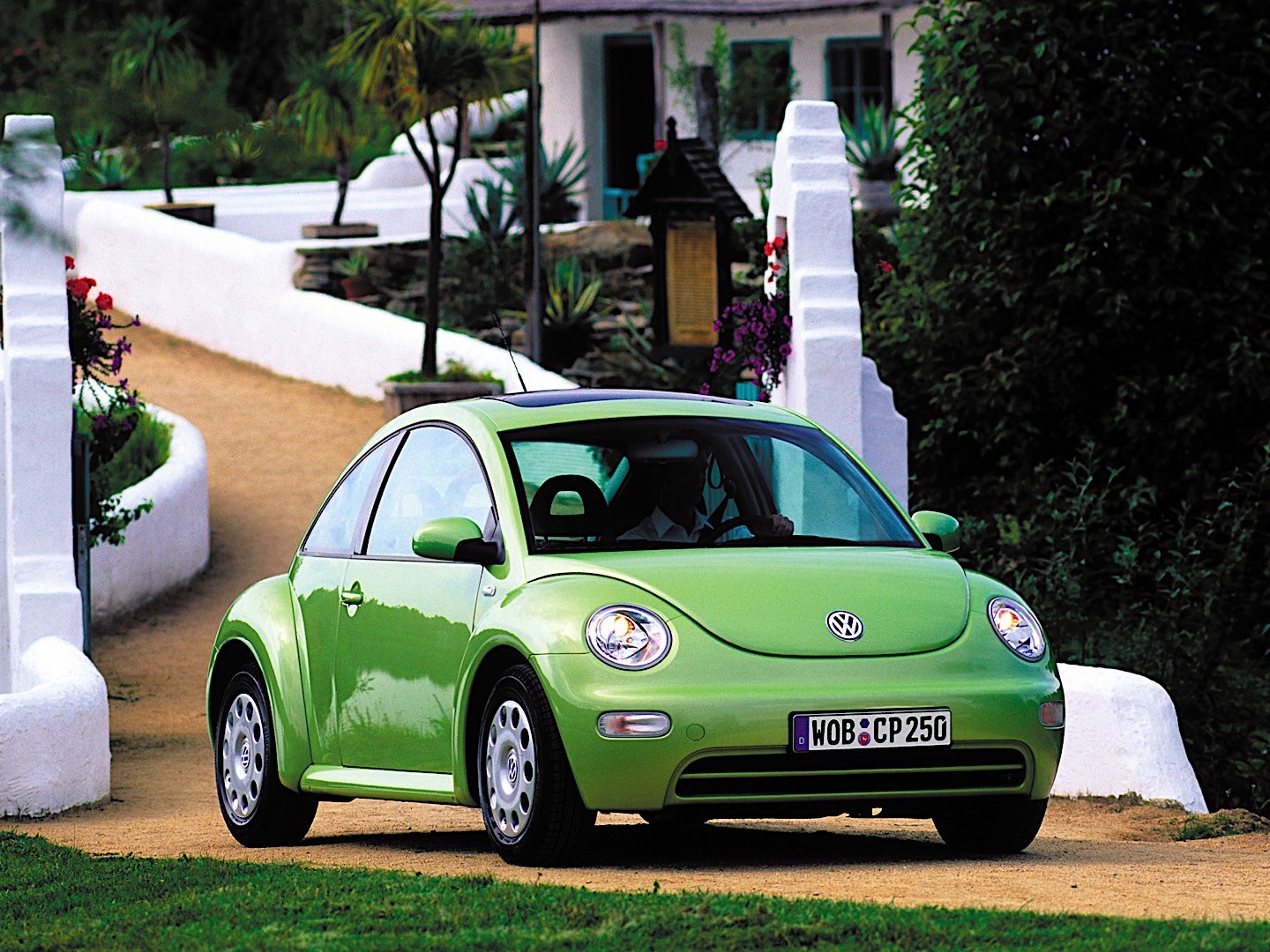 Volkswagen Beetle photo 7