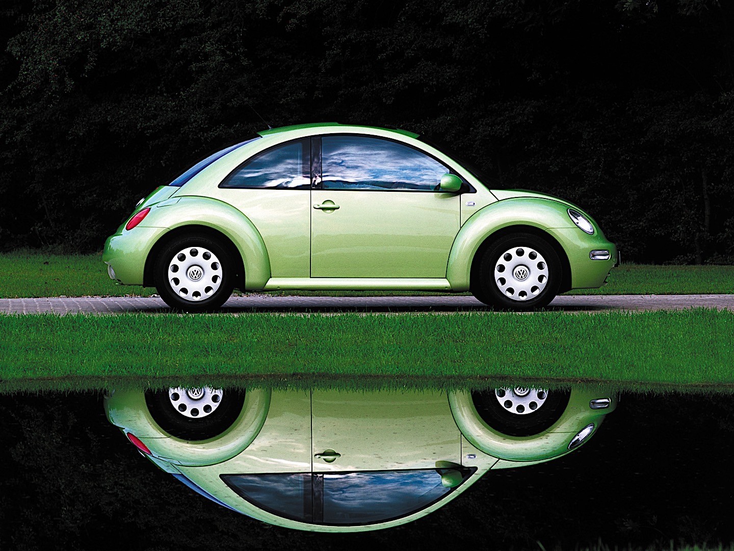 Volkswagen Beetle photo 14