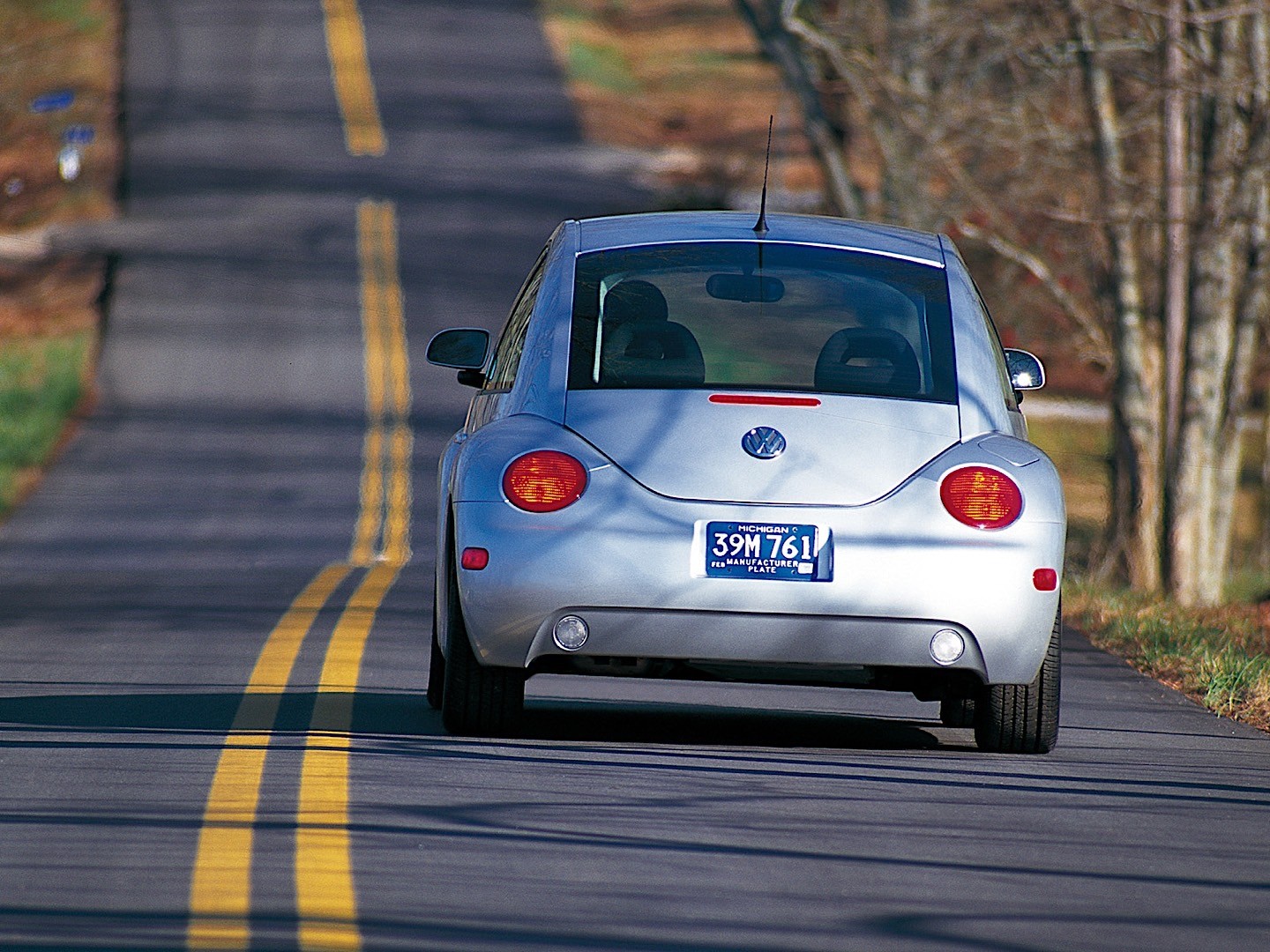 Volkswagen Beetle photo 36