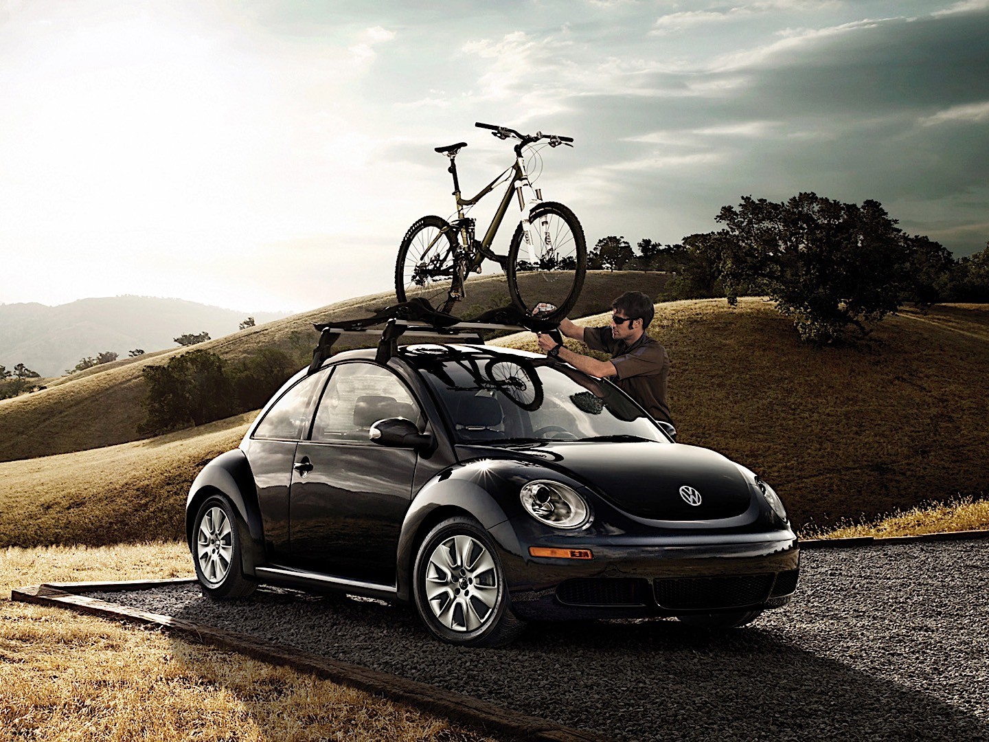 Volkswagen Beetle photo 8