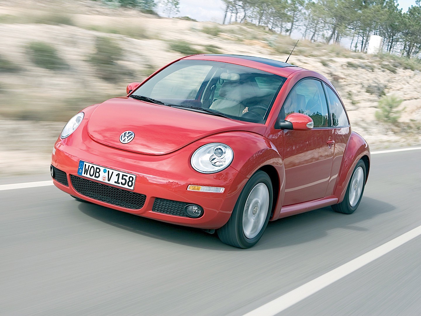 Volkswagen Beetle photo 14