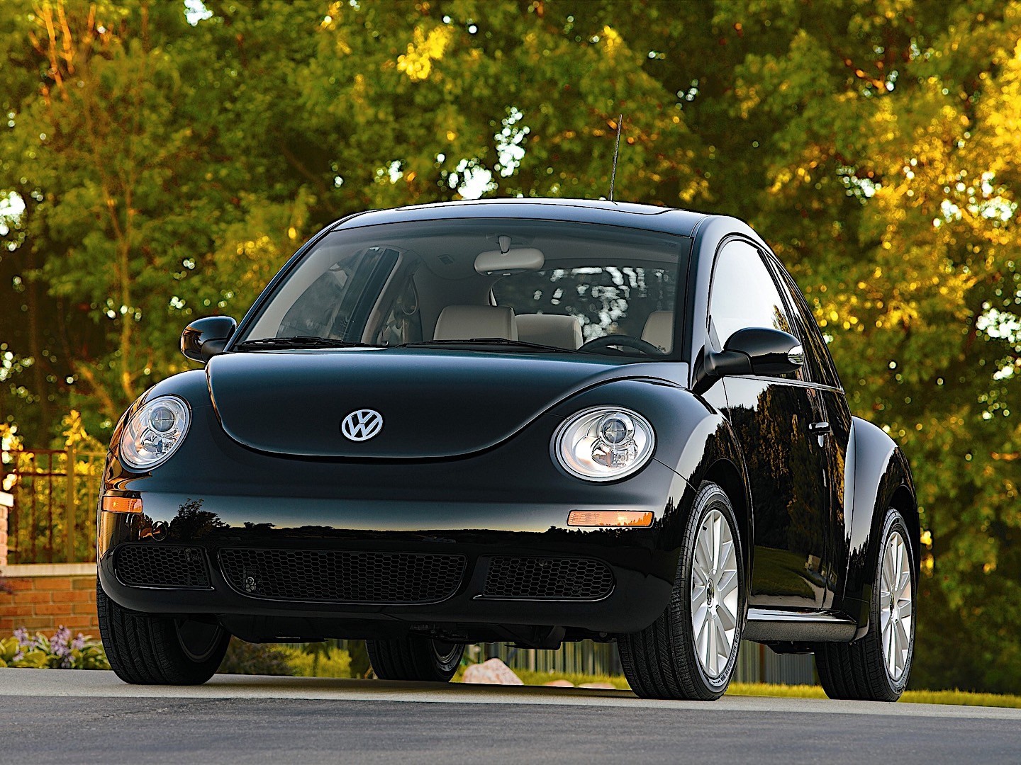 Volkswagen Beetle photo 25