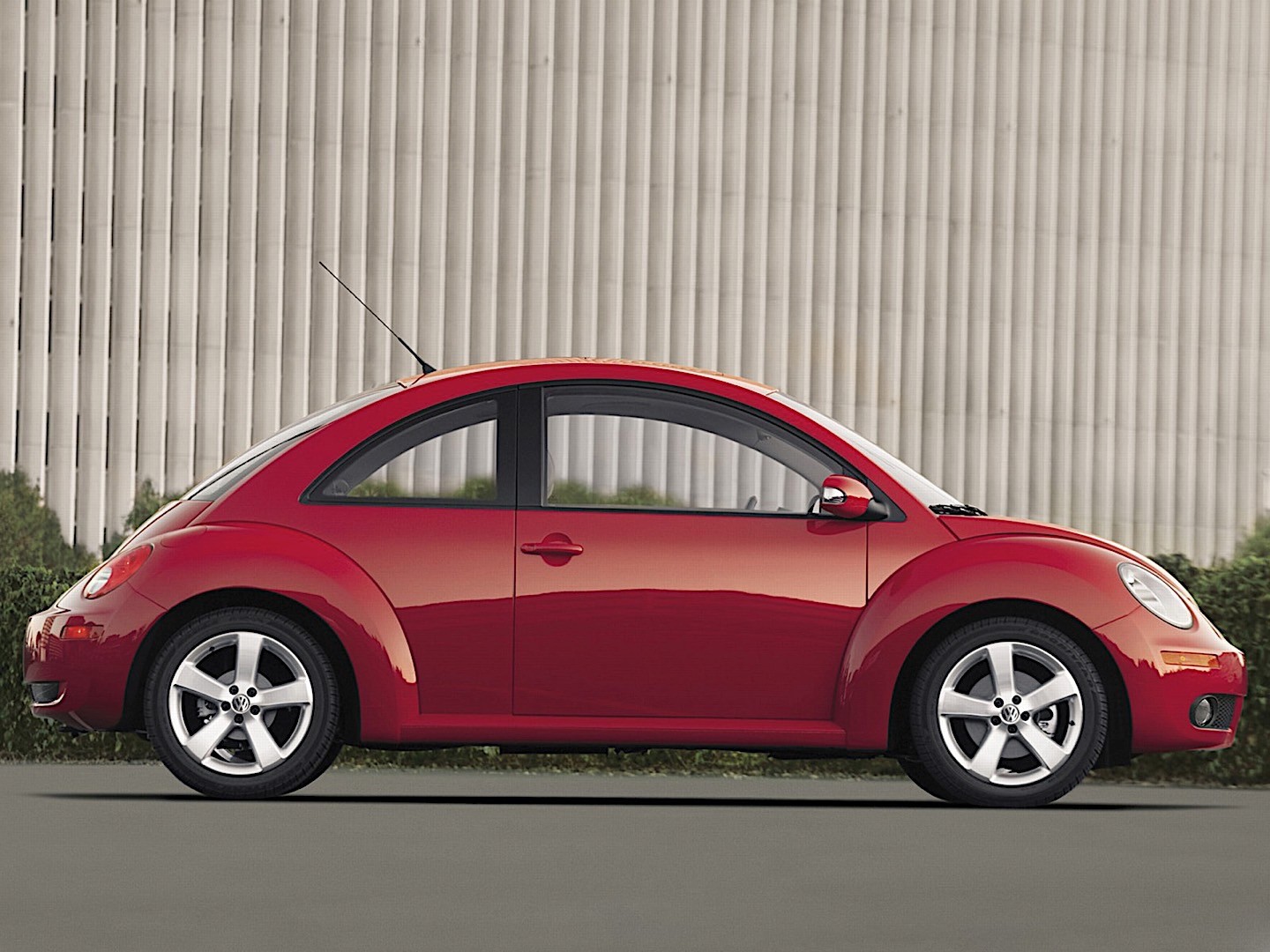 Volkswagen Beetle photo 33