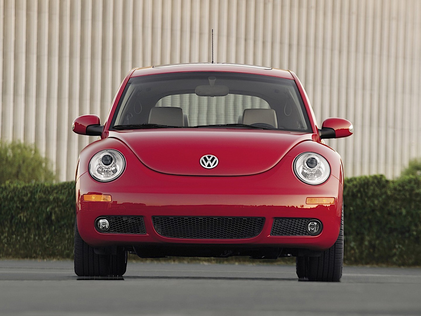 Volkswagen Beetle photo 37