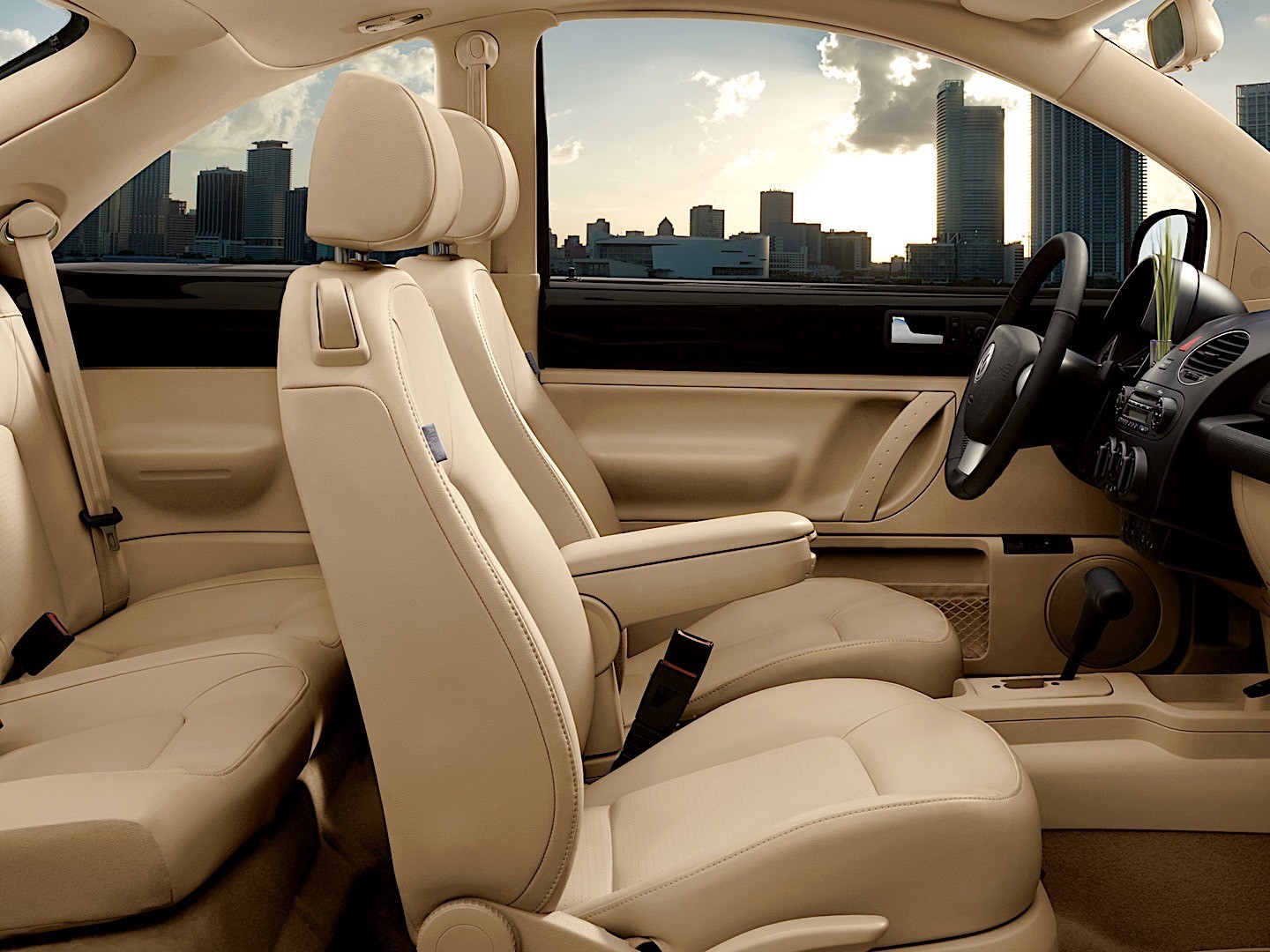 Volkswagen Beetle photo 42