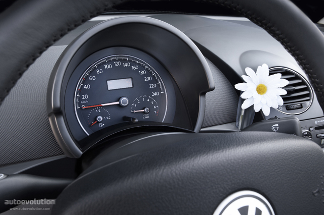Volkswagen Beetle photo 39