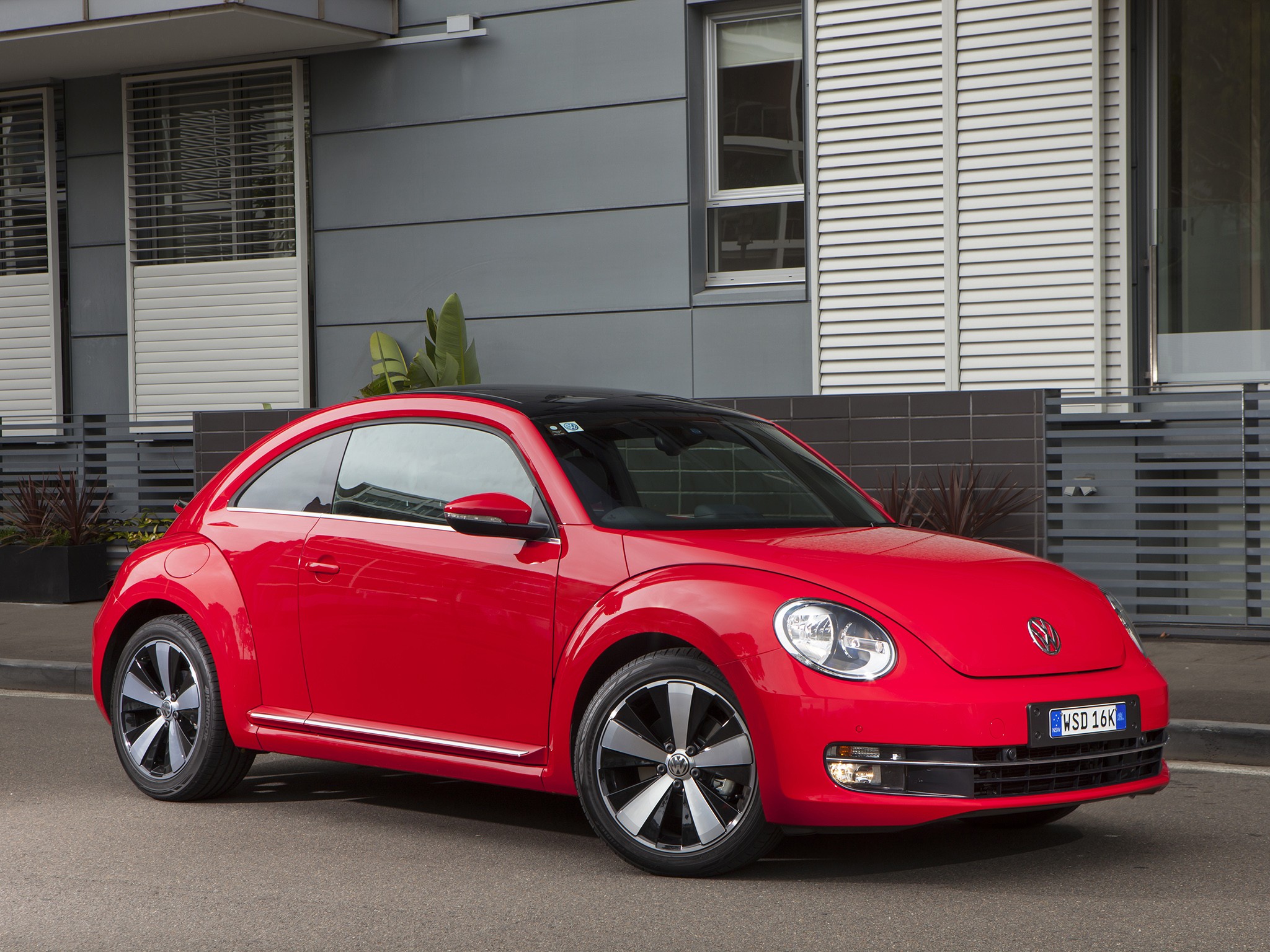 Volkswagen Beetle photo 24