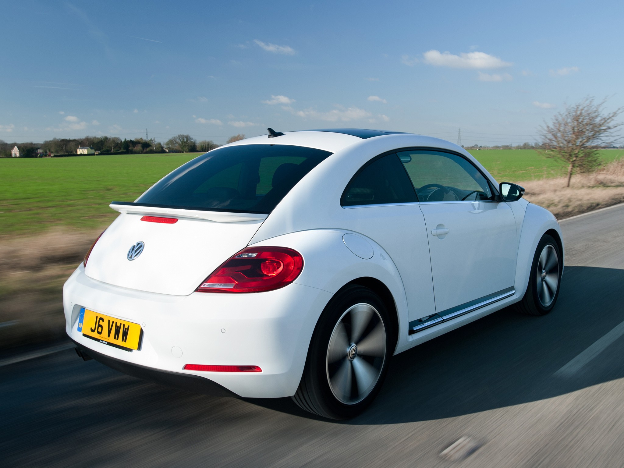 Volkswagen Beetle photo 35
