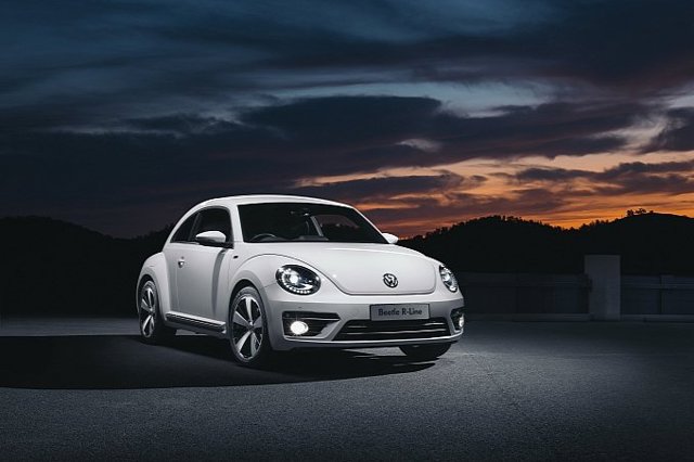 Volkswagen Beetle photo 23
