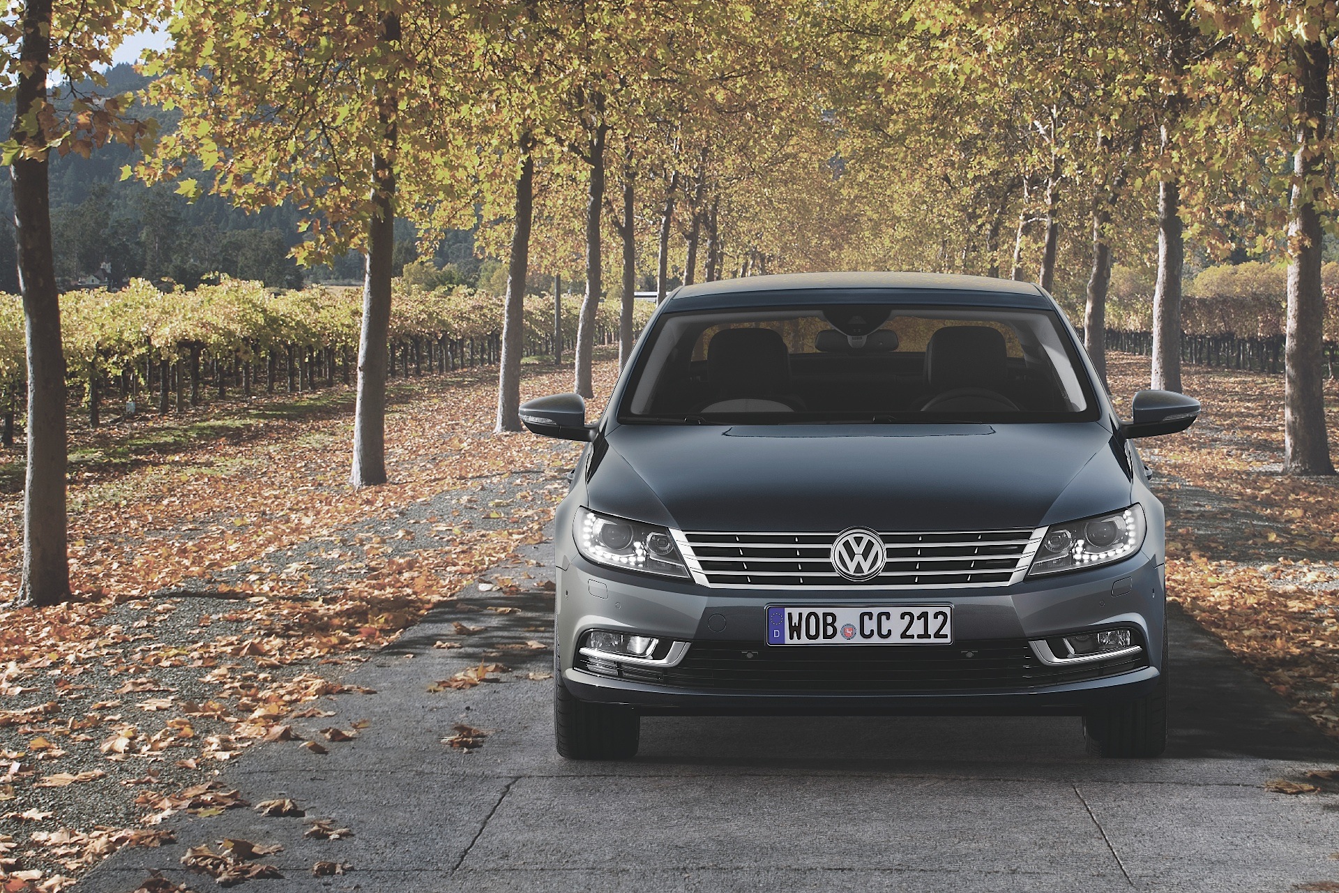 Volkswagen Cc photo 25