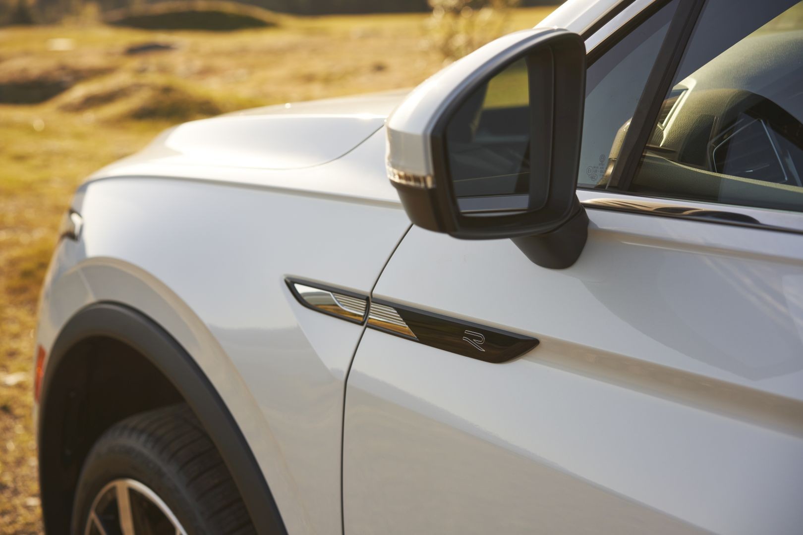 Volkswagen Tiguan (Us) photo 30