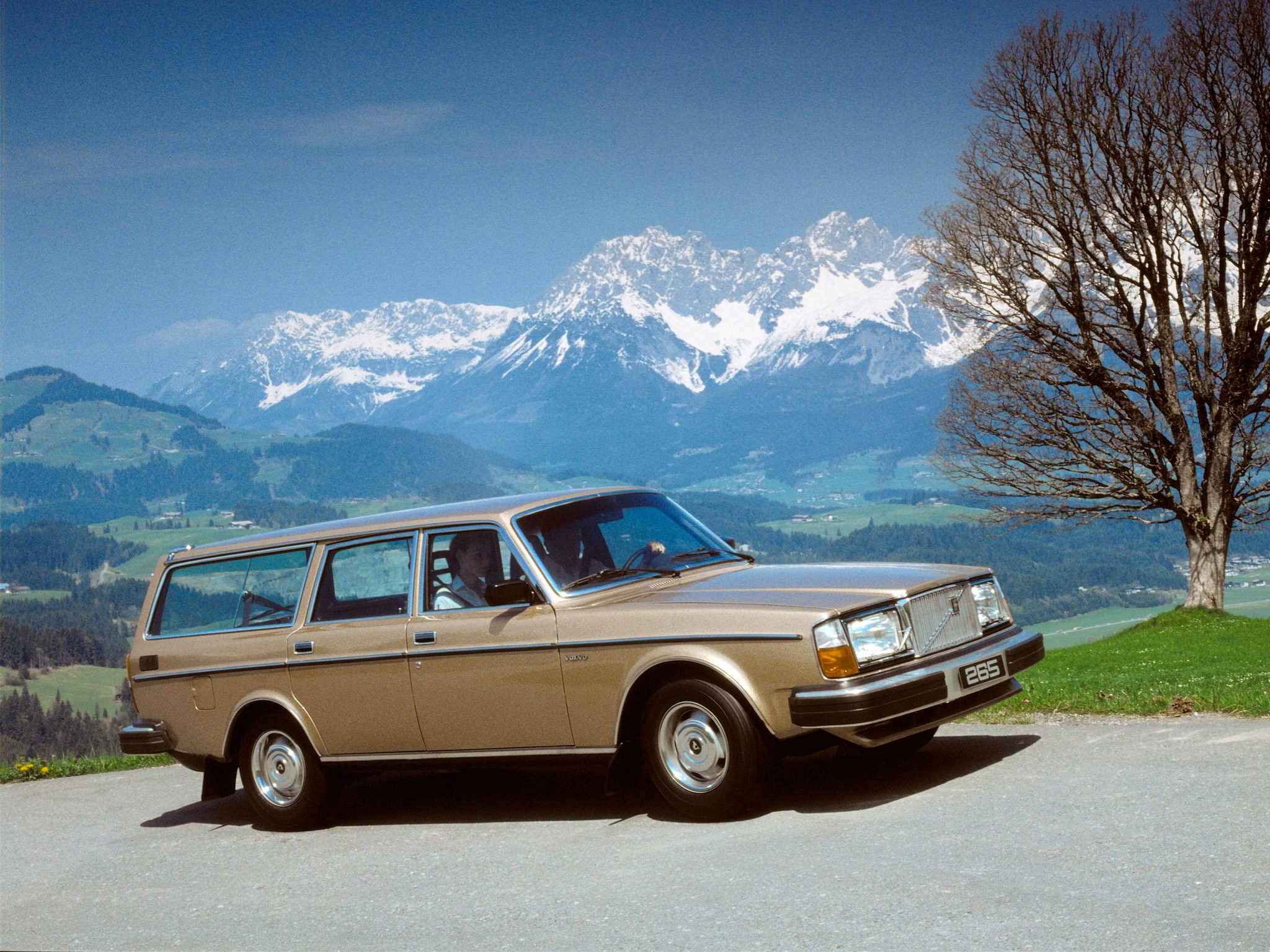 Volvo 265 photo 8