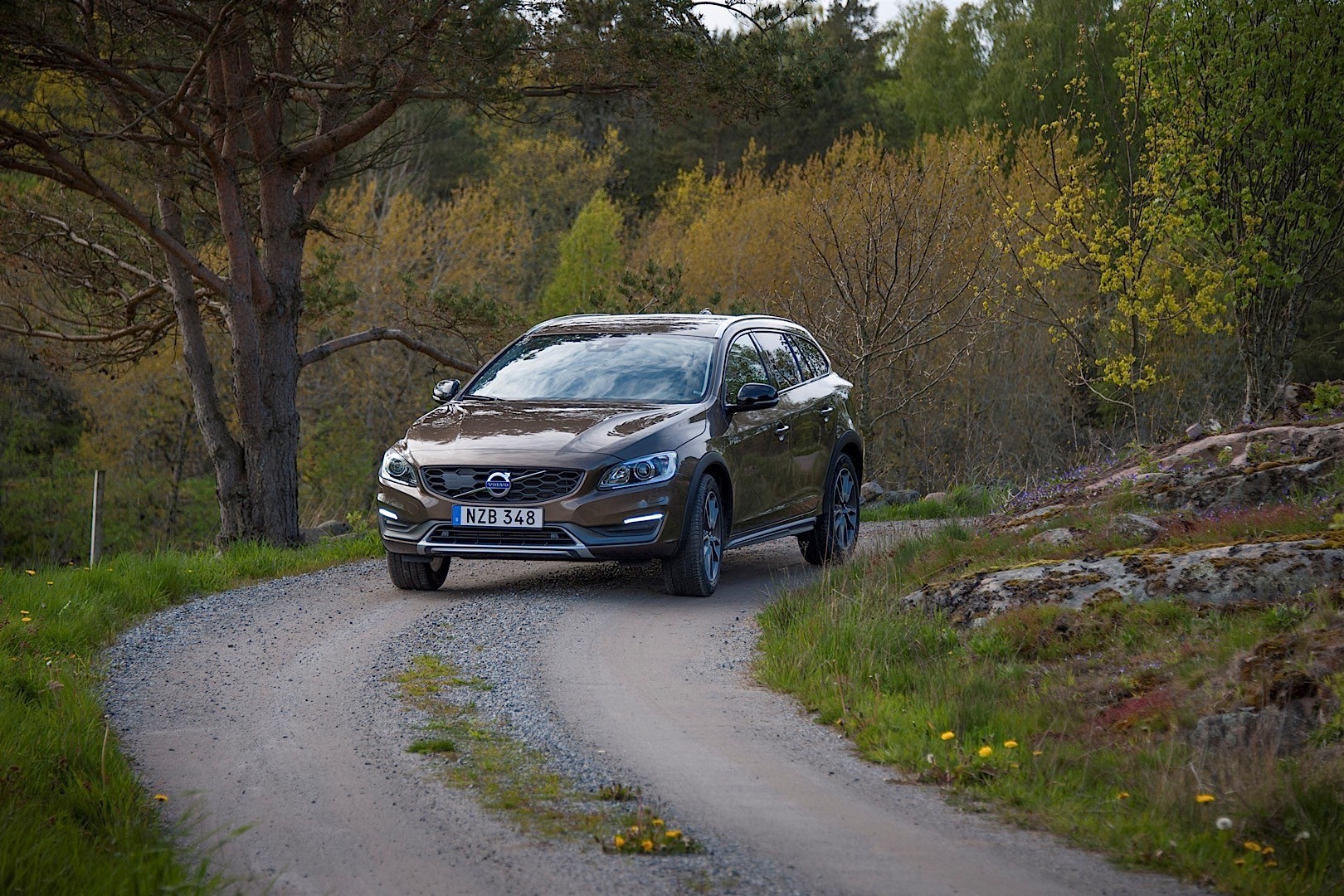 Volvo V60 Cross Country photo 15
