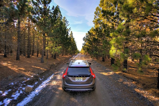 Volvo V60 Cross Country photo 45