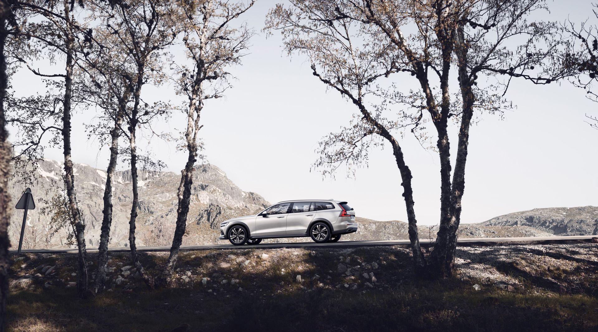 Volvo V60 Cross Country photo 8