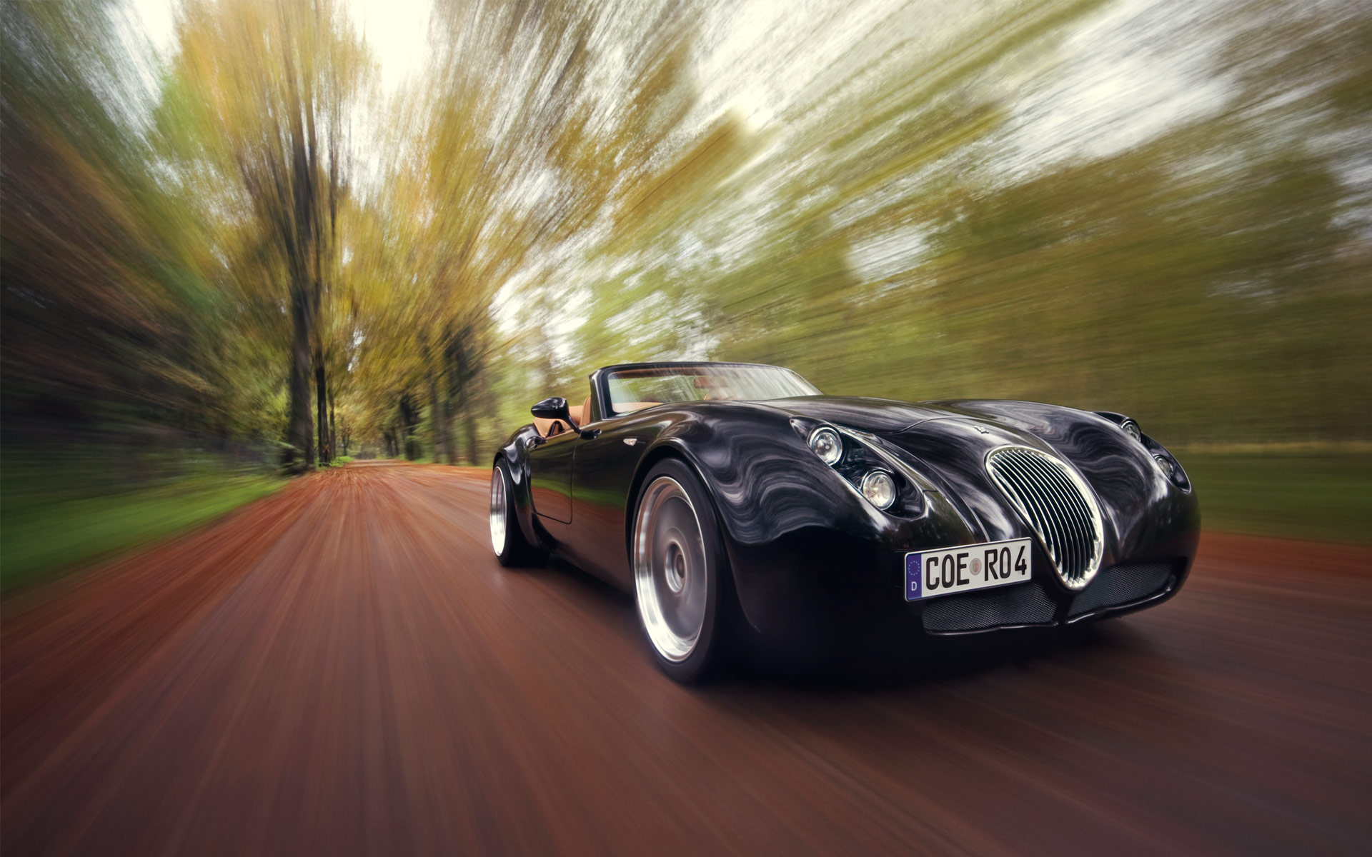 Wiesmann Mf4 Roadster photo 13