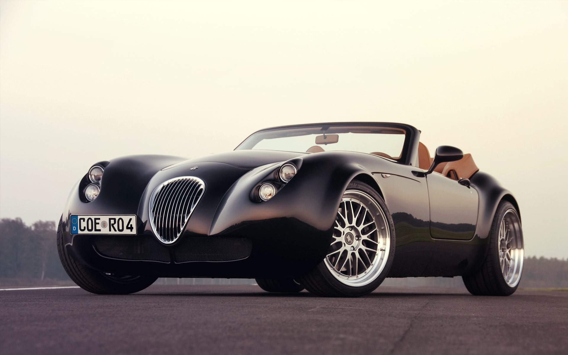 Wiesmann Mf4-S Roadster photo 11