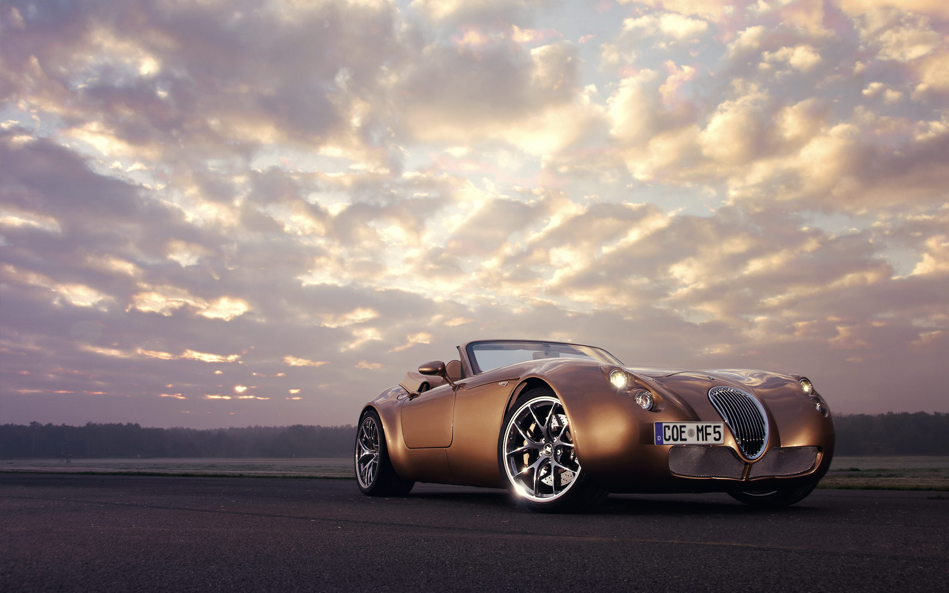 Wiesmann Mf5 Roadster photo 11